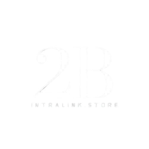 2Bintralink.store